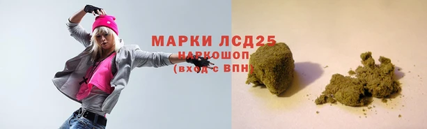 гидропоника Богородск