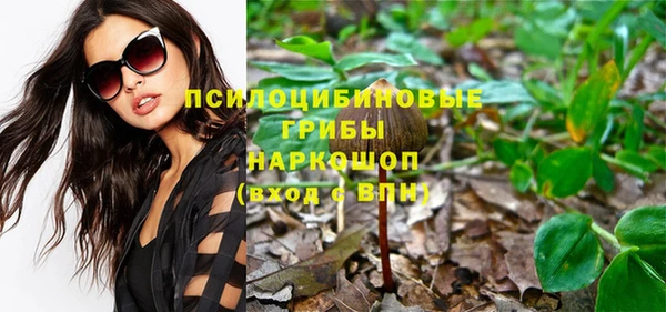 Альфа ПВП Богородицк