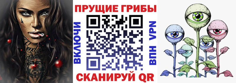 мега ССЫЛКА Ярославль Псилоцибиновые грибы мицелий купить закладку