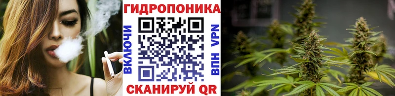 МАРИХУАНА ГИДРОПОН что такое наркотик дарк нет Telegram Ярославль